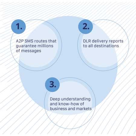 A2P Bulk SMS Go4Mobility